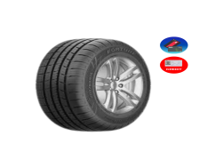 FORTUNE 205/60R16 FSR602